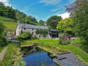 Idyllic country house & organic swim pond
